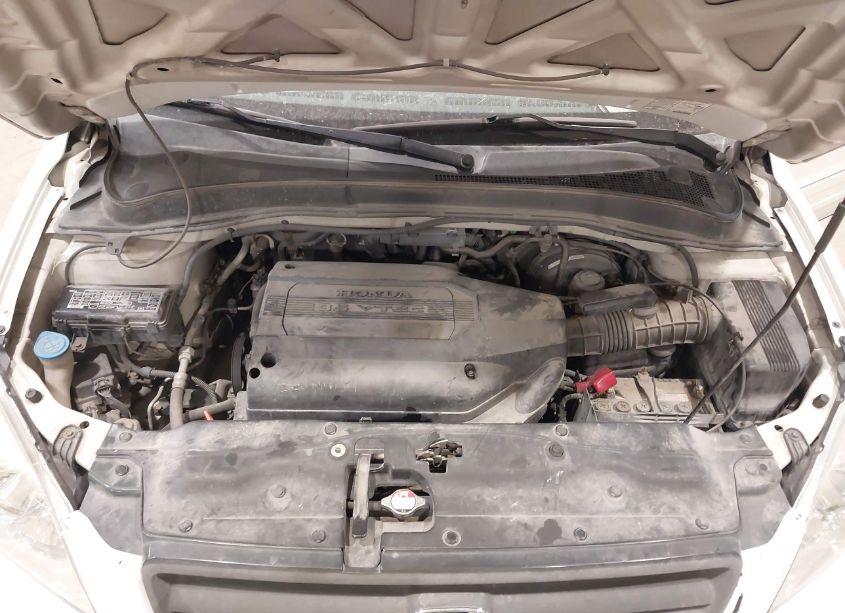 Photo 10 of 2004 Honda Pilot EX-L (VIN 2HKYF18614H606755)