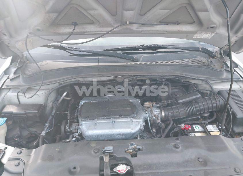 Photo 10 of 2004 Honda Pilot EX-L (VIN 2HKYF18624H507894)