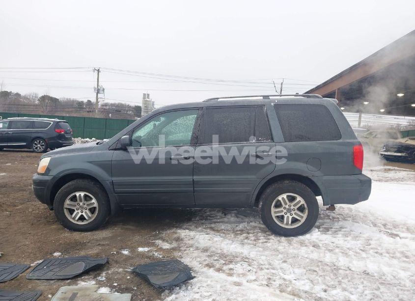 Photo 14 of 2004 Honda Pilot EX-L (VIN 2HKYF18634H545652)