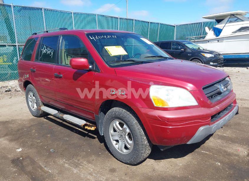 2005 Honda Pilot EX-L (VIN 2HKYF18635H564218) main photo