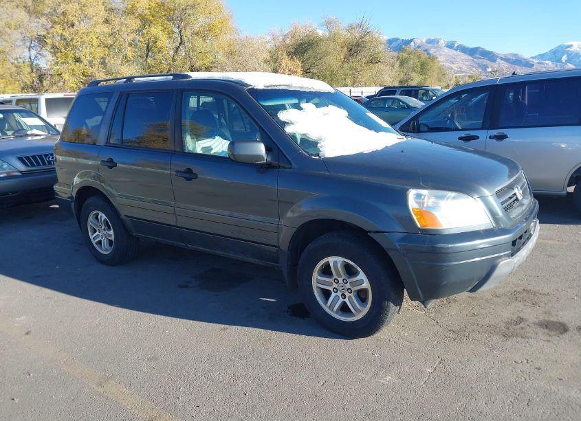 2005 Honda Pilot EX-L (VIN 2HKYF18645H512600) main photo