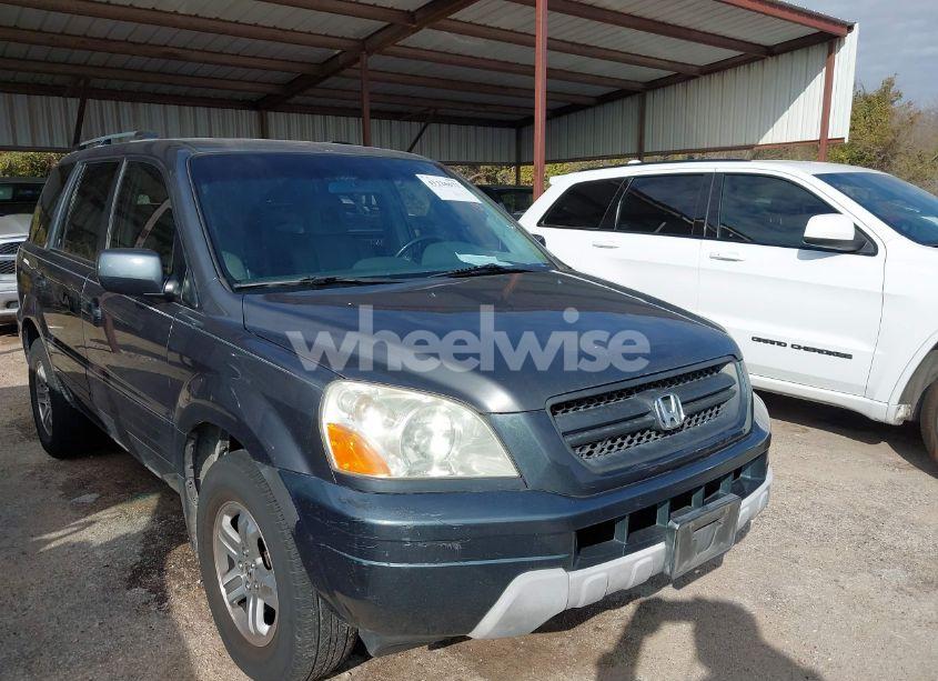 Photo 6 of 2004 Honda Pilot EX-L (VIN 2HKYF18654H575848)