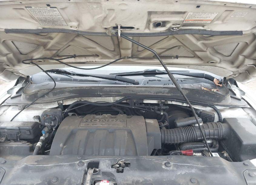 Photo 10 of 2005 Honda Pilot EX-L (VIN 2HKYF18655H516543)