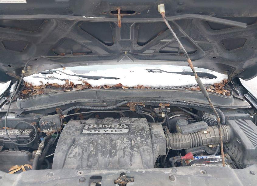 Photo 10 of 2006 Honda Pilot EX-L (VIN 2HKYF18656H503311)