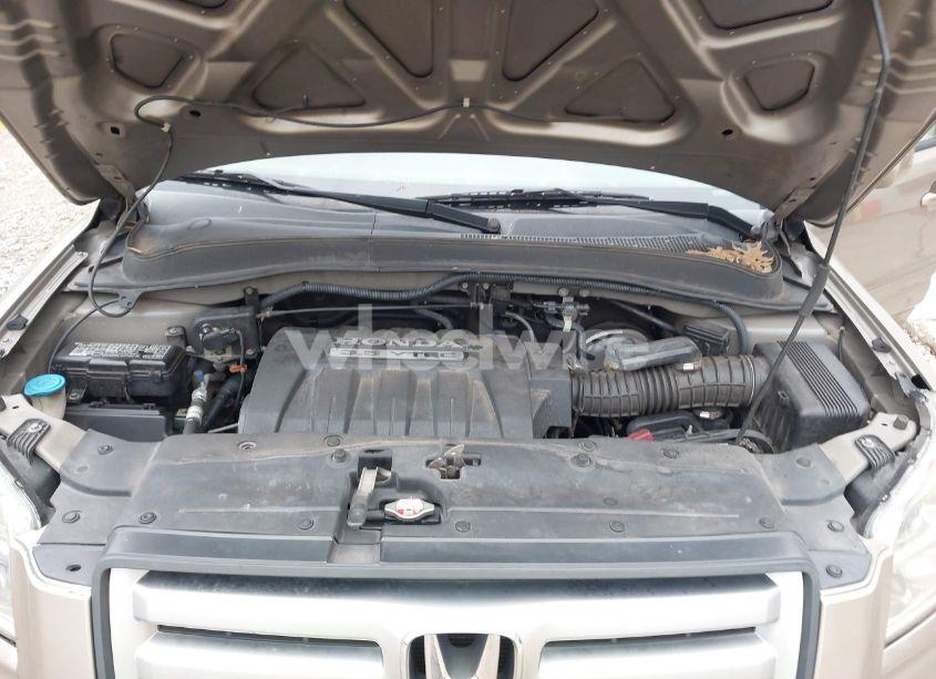 Photo 10 of 2006 Honda Pilot EX-L (VIN 2HKYF18656H536020)