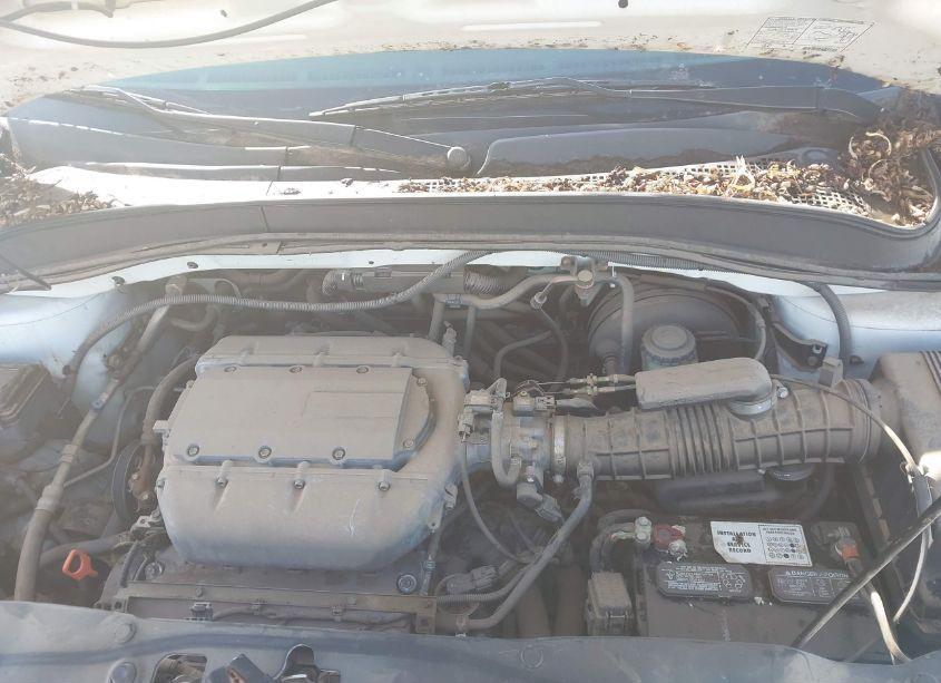 Photo 10 of 2004 Honda Pilot EX-L (VIN 2HKYF18664H596093)