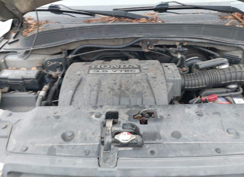 Photo 10 of 2005 Honda Pilot EX-L (VIN 2HKYF18665H524232)