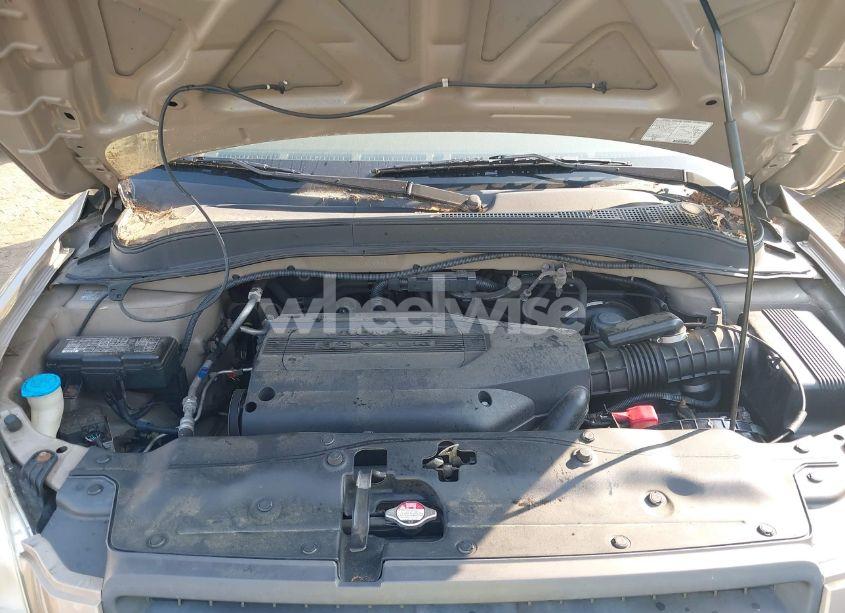 Photo 10 of 2004 Honda Pilot EX-L (VIN 2HKYF18674H616366)