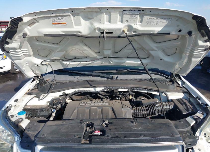 Photo 10 of 2006 Honda Pilot EX-L (VIN 2HKYF18676H550680)