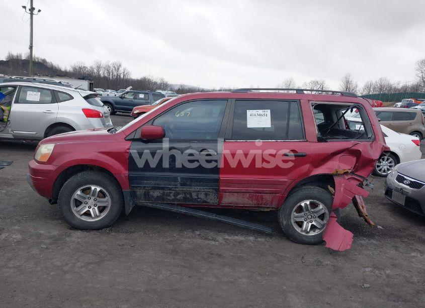 Photo 14 of 2003 Honda Pilot EX-L (VIN 2HKYF18683H581271)