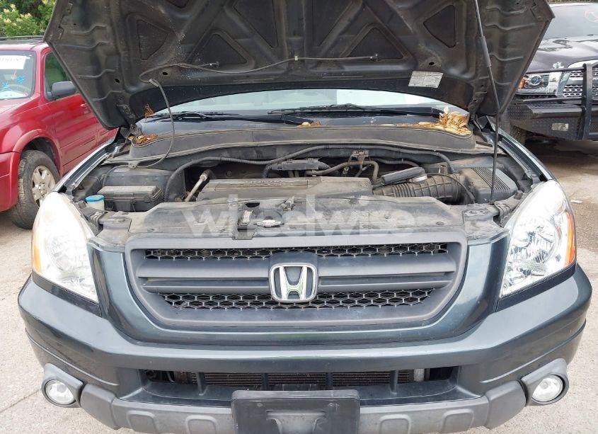 Photo 10 of 2004 Honda Pilot EX-L (VIN 2HKYF18684H545632)