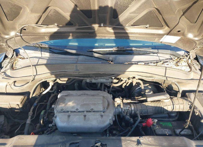 Photo 10 of 2004 Honda Pilot EX-L (VIN 2HKYF18684H604372)