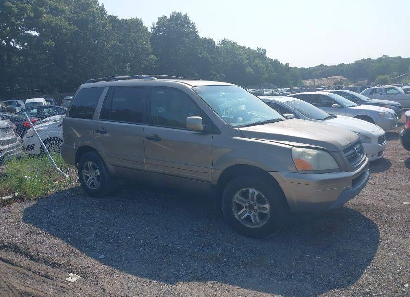 2005 Honda Pilot EX-L (VIN 2HKYF18685H524183) main photo