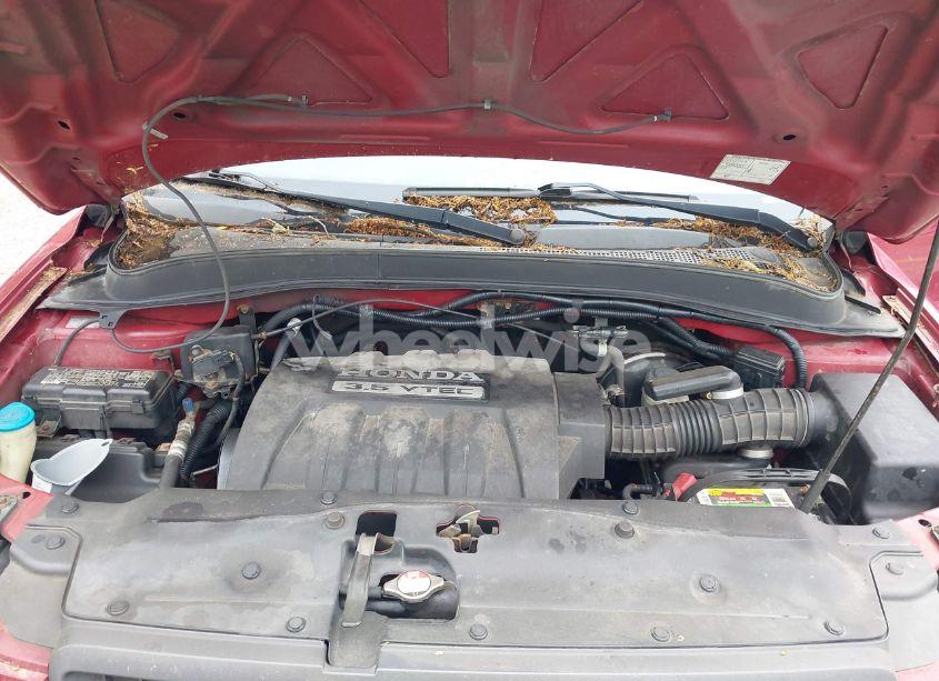 Photo 10 of 2005 Honda Pilot EX-L (VIN 2HKYF18685H532008)