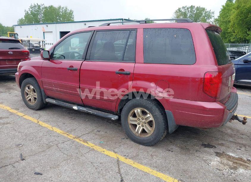 Photo 3 of 2005 Honda Pilot EX-L (VIN 2HKYF18685H532008)