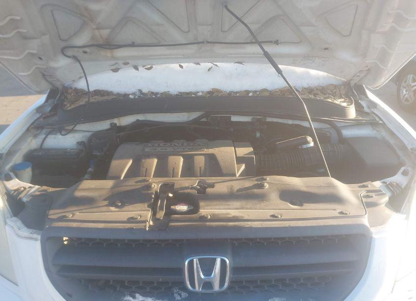 Photo 10 of 2005 Honda Pilot EX-L (VIN 2HKYF18685H554994)