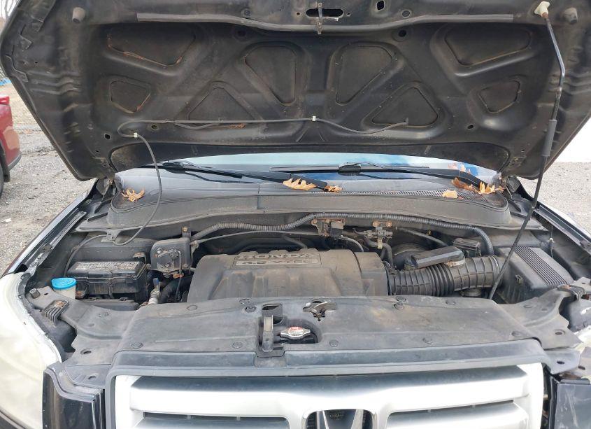 Photo 9 of 2006 Honda Pilot EX-L (VIN 2HKYF18696H556934)