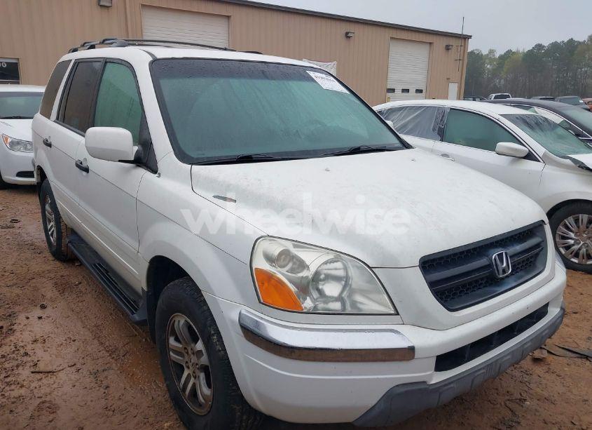 2003 Honda Pilot EX-L (VIN 2HKYF186X3H519967) main photo