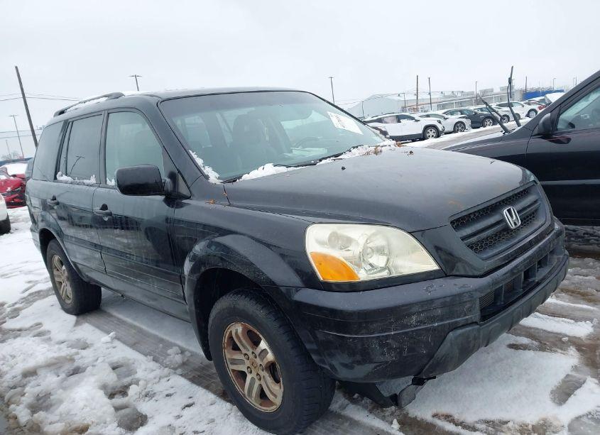2003 Honda Pilot EXL (VIN 2HKYF18713H551263) main photo