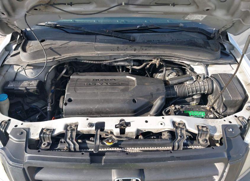 Photo 10 of 2003 Honda Pilot EX-L (VIN 2HKYF18713H606150)