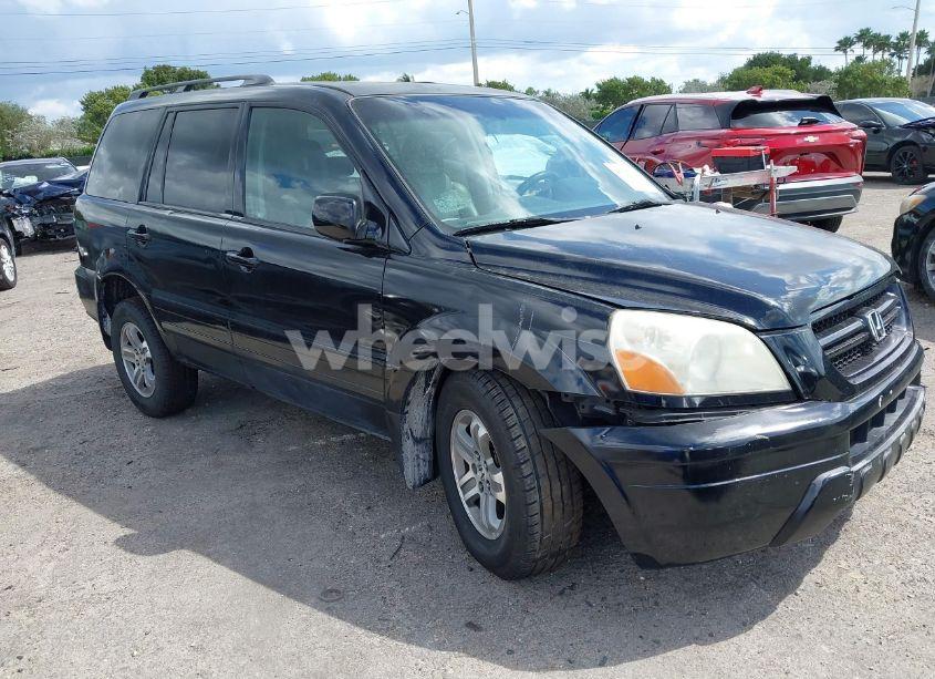 2005 Honda Pilot EX-L (VIN 2HKYF18715H562492) main photo