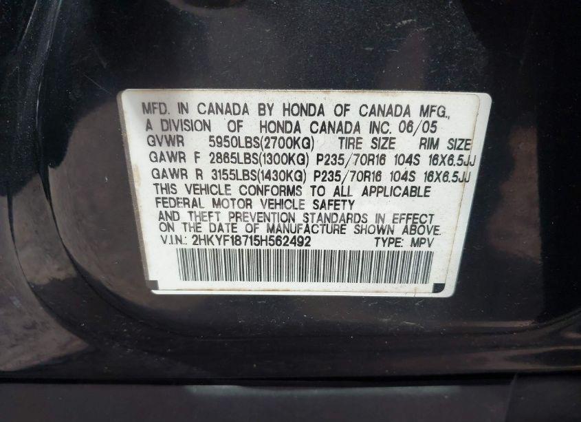Photo 9 of 2005 Honda Pilot EX-L (VIN 2HKYF18715H562492)