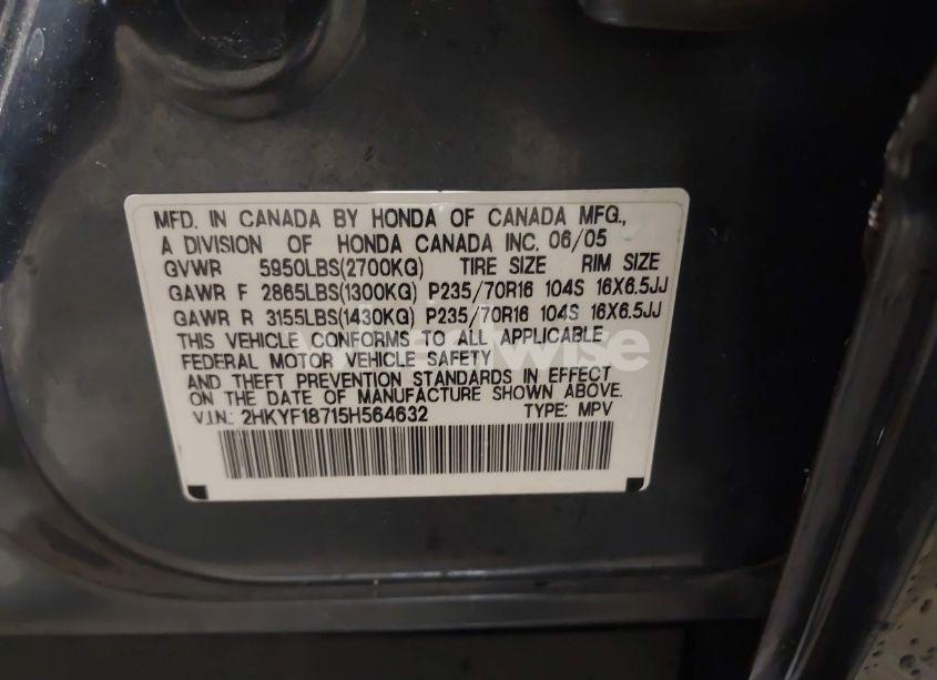 Photo 9 of 2005 Honda Pilot EX-L (VIN 2HKYF18715H564632)