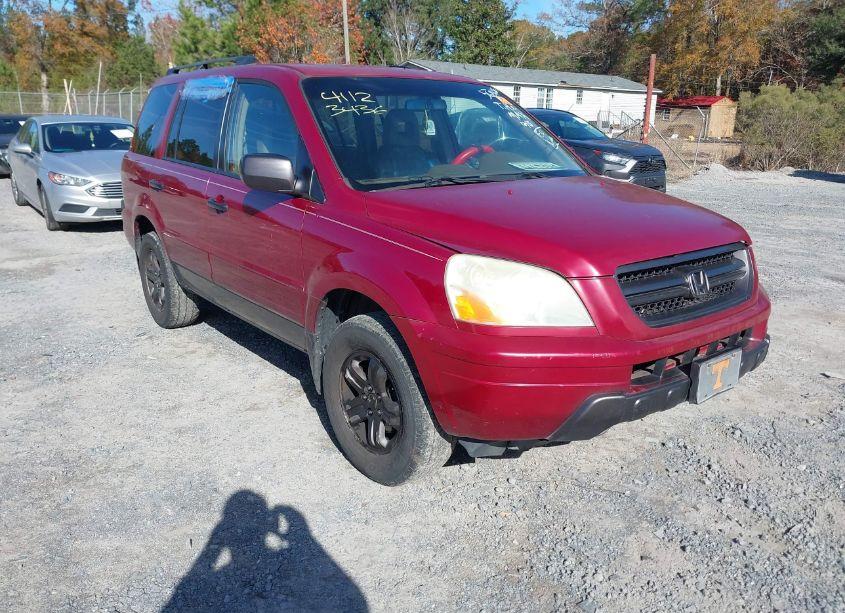 2005 Honda Pilot EX-L (VIN 2HKYF18725H568656) main photo