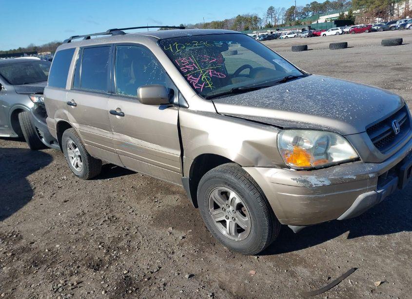 2003 Honda Pilot EX-L (VIN 2HKYF18733H575810) main photo