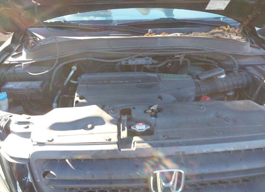 Photo 10 of 2004 Honda Pilot EX-L (VIN 2HKYF18774H525607)