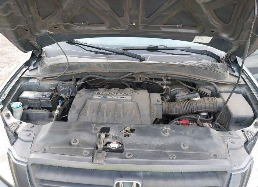 Photo 10 of 2005 Honda Pilot EX-L (VIN 2HKYF18775H522854)