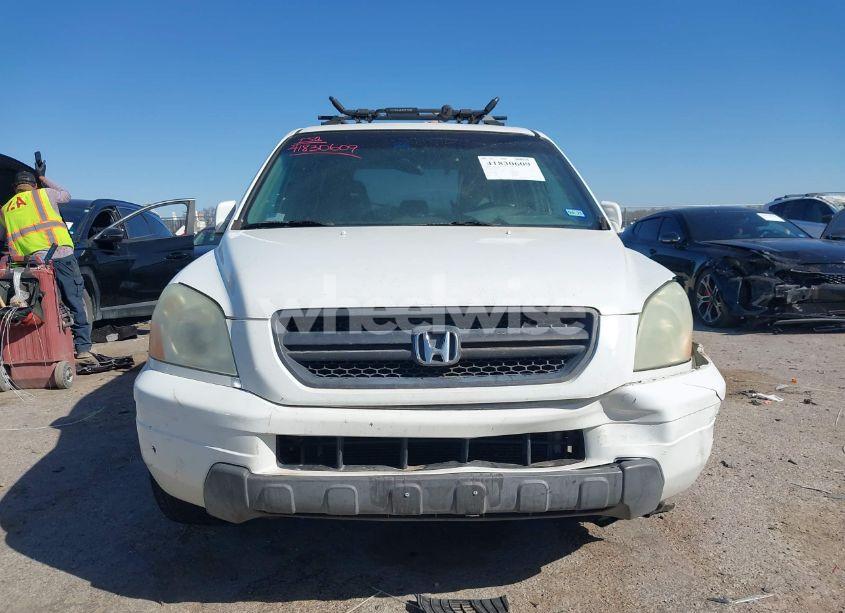 Photo 12 of 2005 Honda Pilot EX-L (VIN 2HKYF18775H571312)