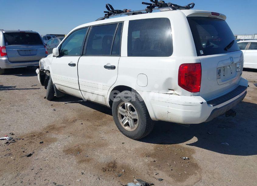 Photo 3 of 2005 Honda Pilot EX-L (VIN 2HKYF18775H571312)