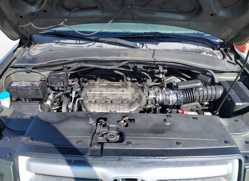 Photo 10 of 2006 Honda Pilot EX-L (VIN 2HKYF18786H506289)