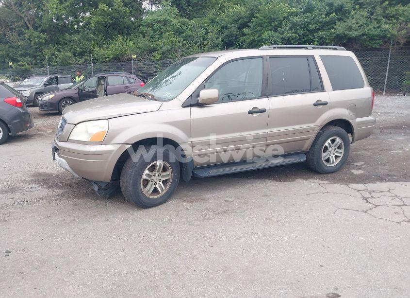 Photo 2 of 2004 Honda Pilot EX-L (VIN 2HKYF18794H579104)