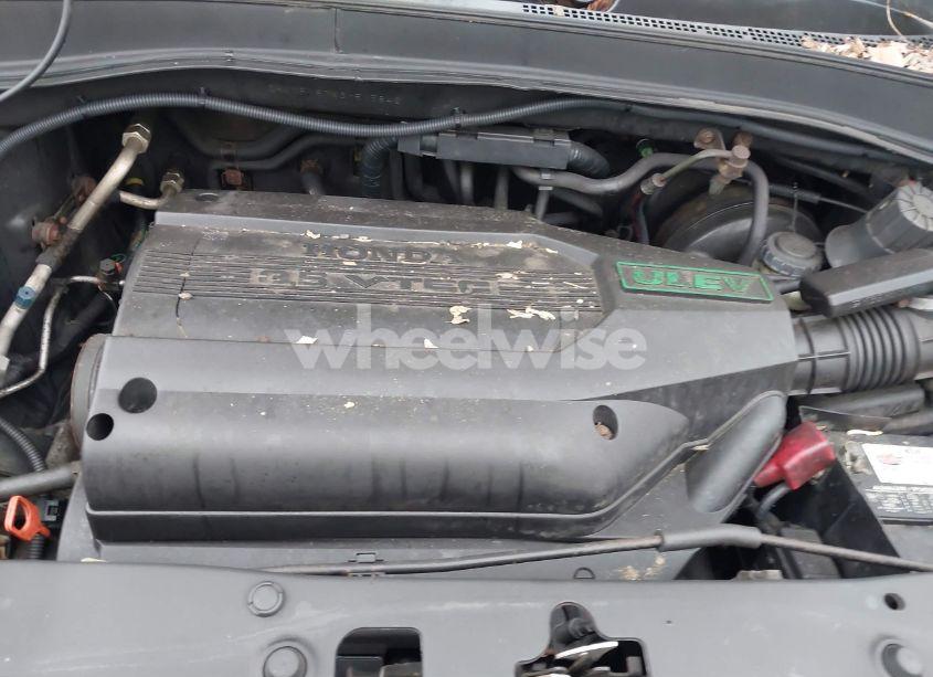 Photo 10 of 2003 Honda Pilot EX-L (VIN 2HKYF187X3H515846)