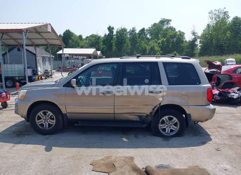 Photo 14 of 2005 Honda Pilot EX-L (VIN 2HKYF187X5H558246)