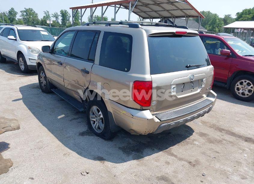 Photo 3 of 2005 Honda Pilot EX-L (VIN 2HKYF187X5H558246)