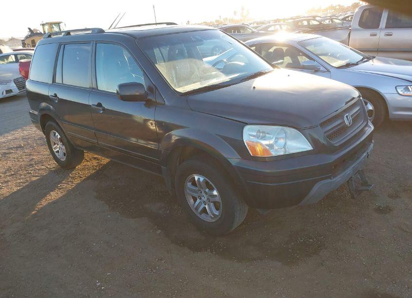 2005 Honda Pilot EX-L (VIN 2HKYF187X5H567674) main photo