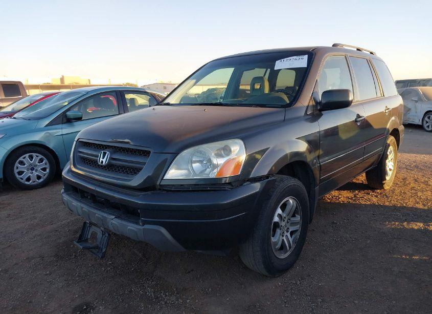 Photo 6 of 2005 Honda Pilot EX-L (VIN 2HKYF187X5H567674)
