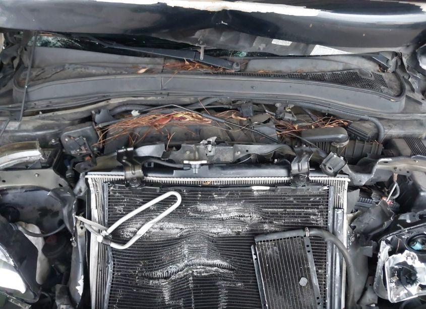 Photo 10 of 2006 Honda Pilot EX-L (VIN 2HKYF187X6H560273)