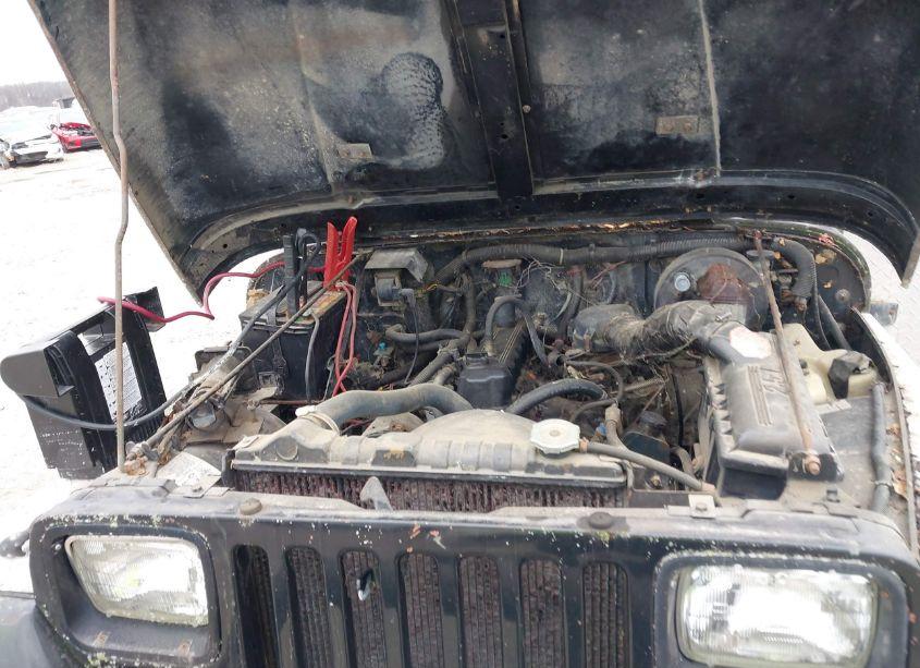 Photo 10 of 1989 Jeep Wrangler / YJ (VIN 2J4FY19E8KJ146526)