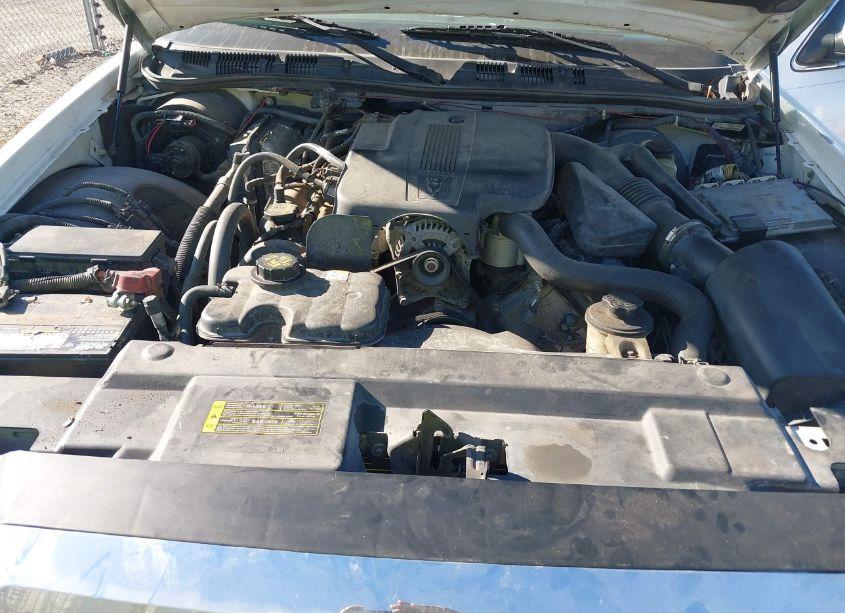 Photo 10 of 2010 Mercury Grand MARQUIS LS (FLEET ONLY) (VIN 2MEBM7FV6AX615016)