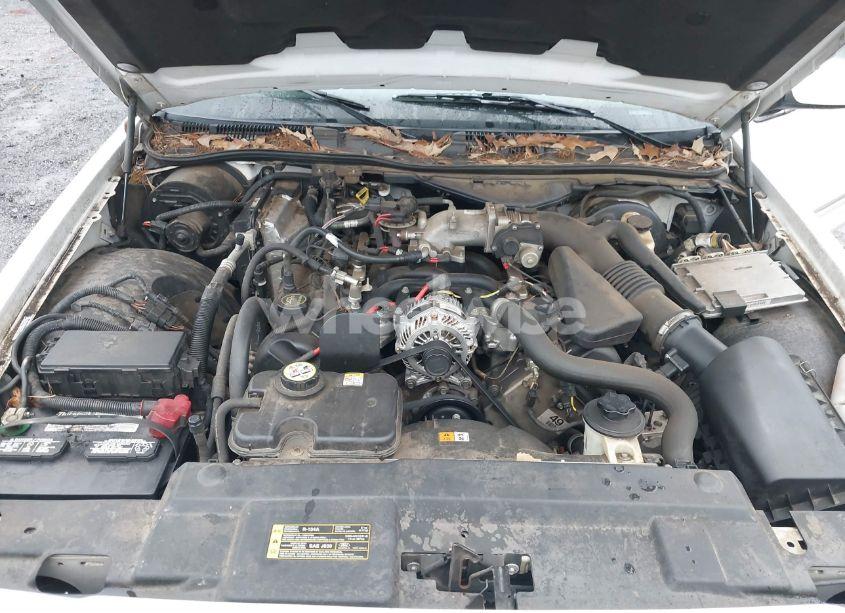Photo 10 of 2008 Mercury Grand MARQUIS LS (VIN 2MEFM75V68X644920)