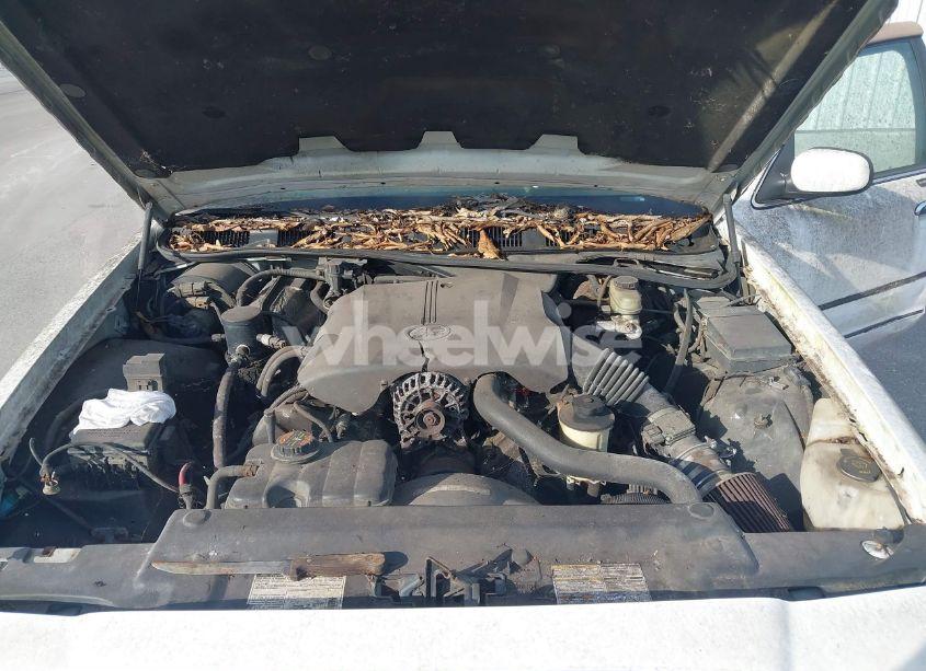Photo 10 of 1999 Mercury Grand MARQUIS LS (VIN 2MEFM75W4XX661836)