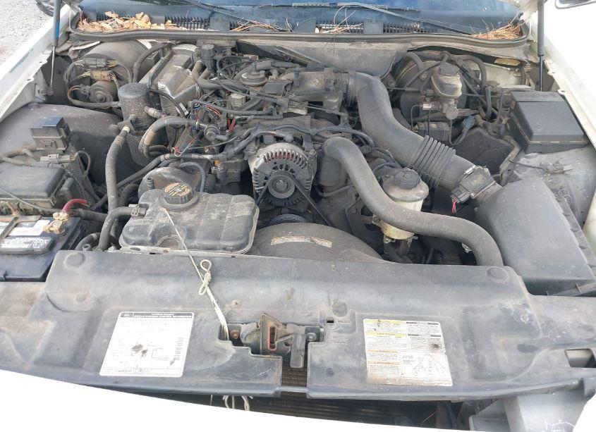 Photo 10 of 1999 Mercury Grand MARQUIS LS (VIN 2MEFM75W4XX693993)