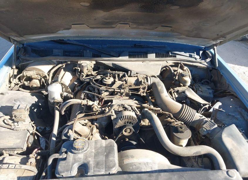 Photo 10 of 1999 Mercury Grand MARQUIS LS (VIN 2MEFM75W8XX711217)