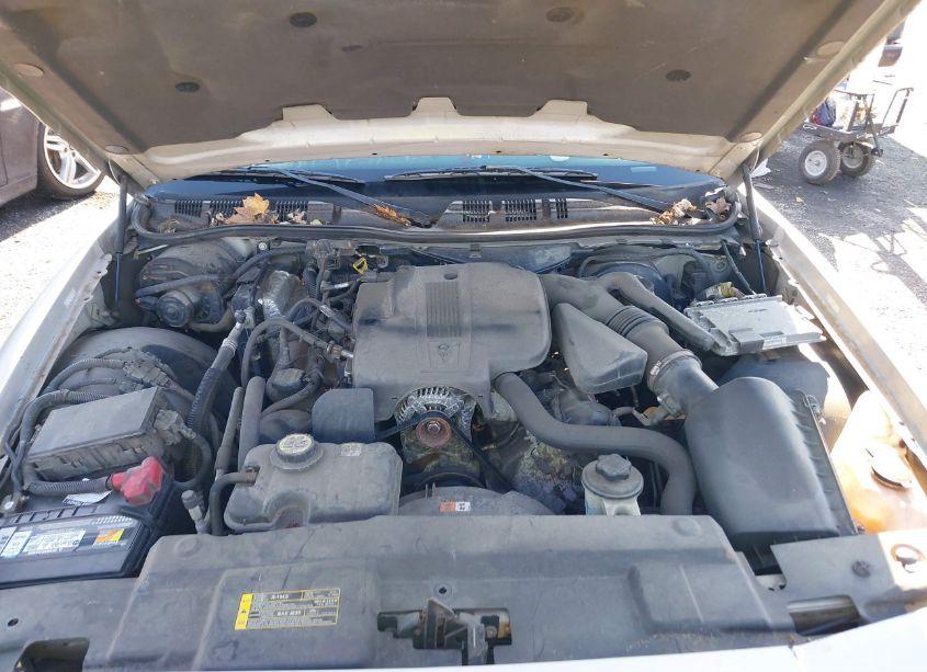 Photo 10 of 2009 Mercury Grand MARQUIS LS (FLEET ONLY) (VIN 2MEHM75V09X601961)