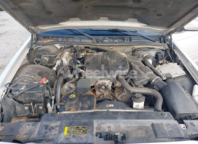 Photo 10 of 2009 Mercury Grand MARQUIS LS (FLEET ONLY) (VIN 2MEHM75V69X627383)