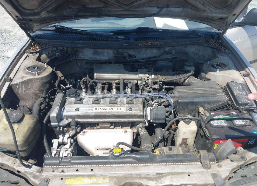 Photo 10 of 1994 Toyota Corolla LE/DX (VIN 2T1AE09B2RC059077)